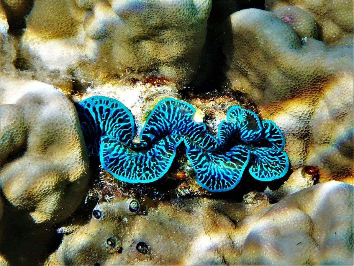 Séjour insolite voilier Mori Ora Moorea Exterior foto