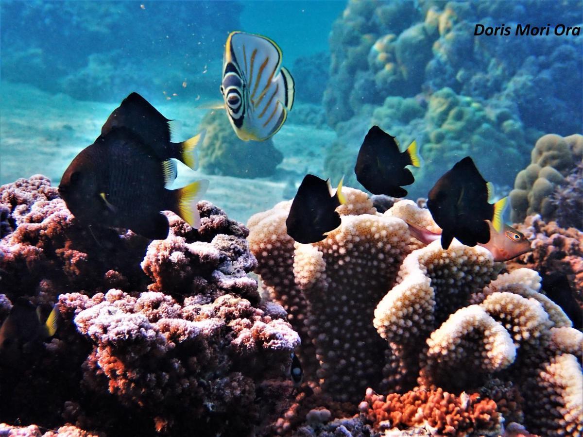 Séjour insolite voilier Mori Ora Moorea Exterior foto